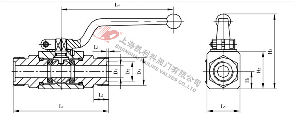 YJZQ高压液压球阀外螺纹外形结构图