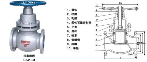 柱塞阀工作原理(图)
